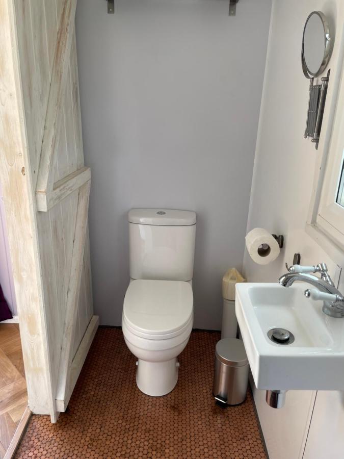 Lilac Tree Hut Tenby Exterior photo